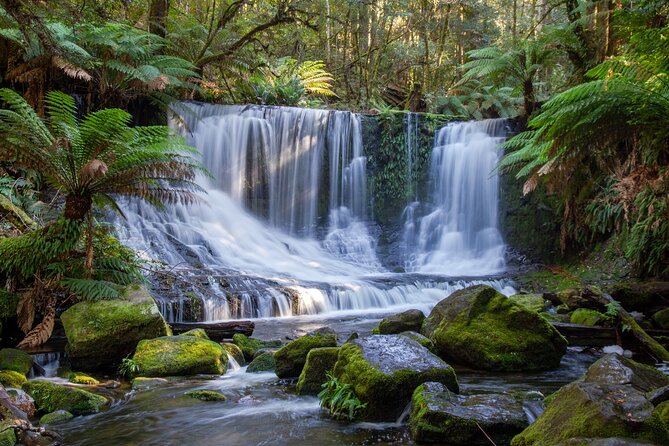 Mt Field National Park and Russell Falls from Hobart - From Hobart to the Derwent Valley