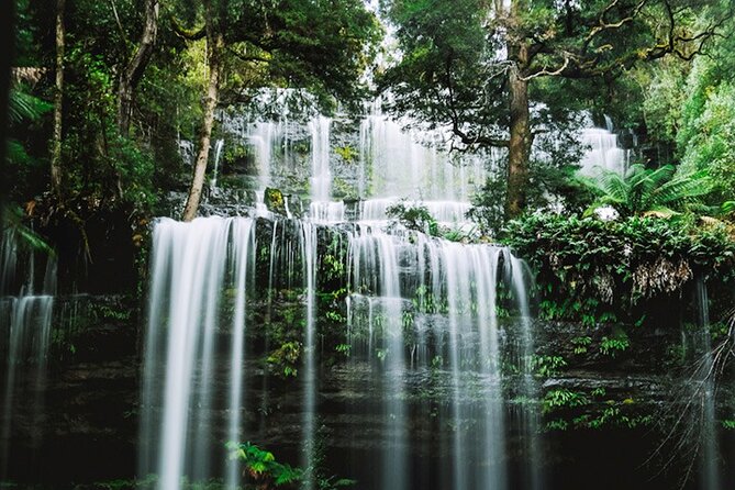 Mt Field National Park and Russell Falls from Hobart - Tall Trees Walk: Tasmania at its grandest