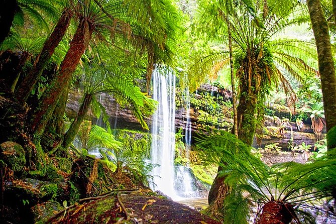 Mt Field National Park and Russell Falls from Hobart - Salmon Ponds and a gentle start to the day