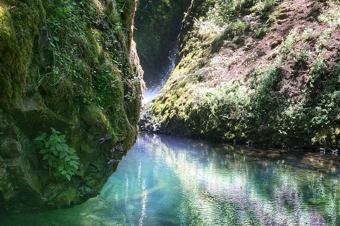 Multnomah Falls and Columbia River Gorge Half-Day Hiking Tour - Why this four-hour Gorge trip works well