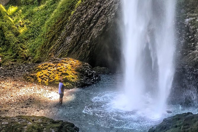 Multnomah Falls and Columbia River Gorge Half-Day Hiking Tour - What the $73 price gets you