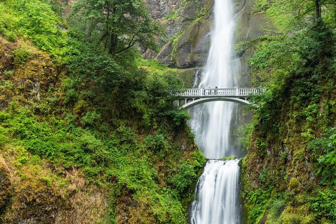 Multnomah Falls and Columbia River Gorge Waterfalls Tour Morning - Wahkeena Falls and Its 242-Foot Drop