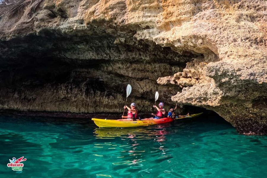 Nerja: Free kayaking route (without a tour guide). 2.5-hour tour. Nerja-Maro Waterfall. - Sea Lion Cave and the first close look at the coast
