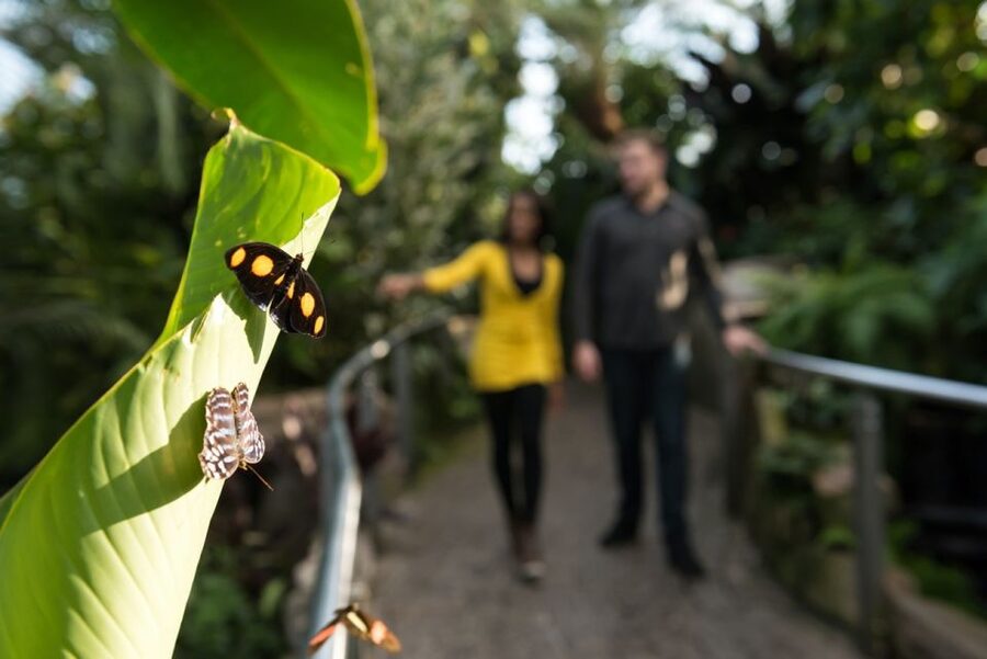 Niagara Falls, Canada: Butterfly Conservatory Admission - Entering the Butterfly Conservatory near Niagara Falls