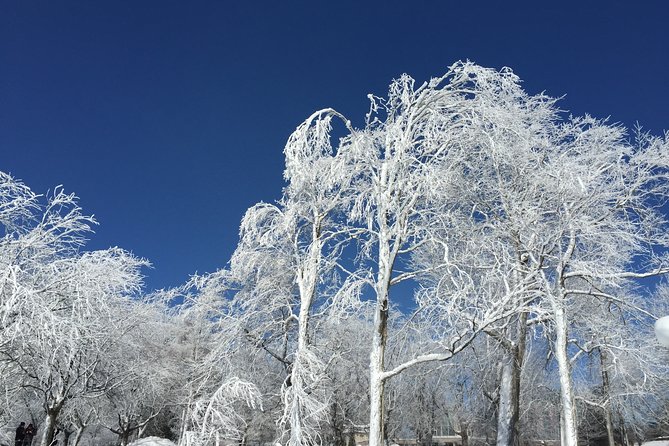 Niagara Falls Winter Wonderland Small Group Tour - Goat Island brings you beside the American Falls