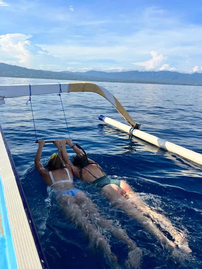 North Bali: Dolphin, Ulun Danu Temple, & Banyumala Waterfall - The guide and driver can make or break a long day