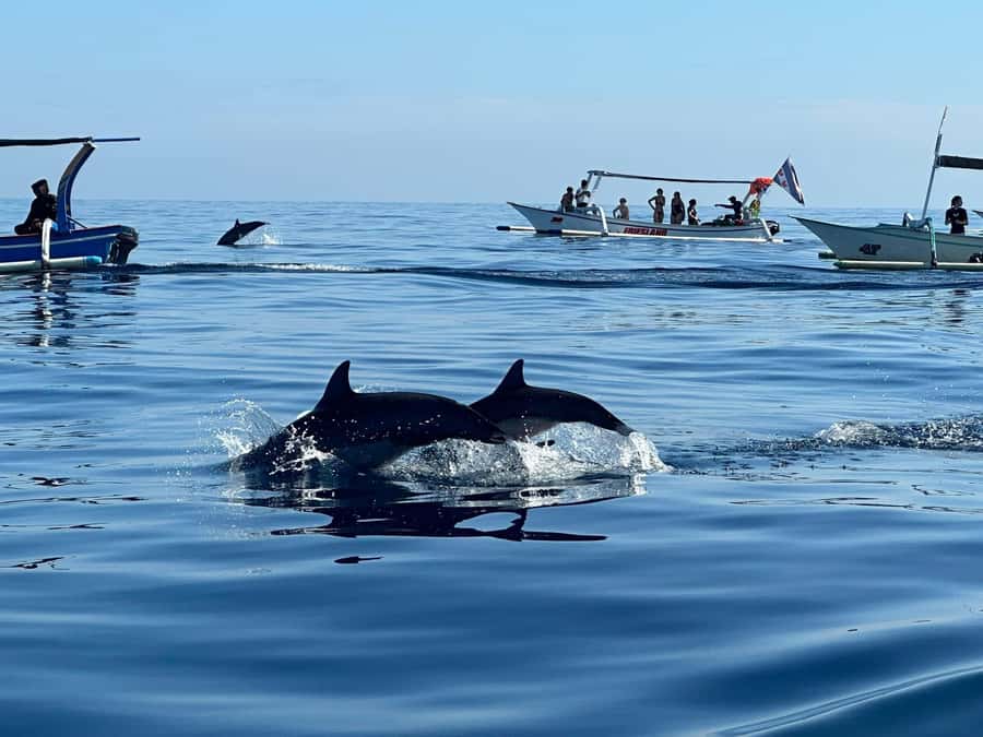 North Bali: Dolphin, Ulun Danu Temple, & Banyumala Waterfall - Is $57 good value for a full Bali day?