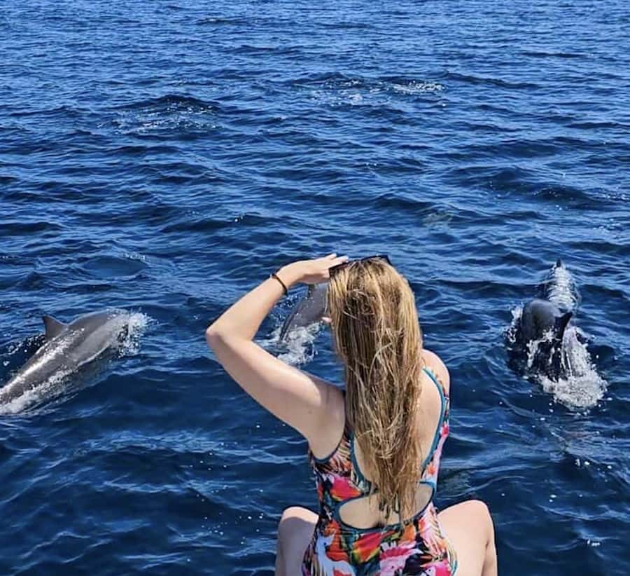 North Bali: Sunrise Tour with Dolphins, Waterfalls & Temples - Key points at a glance