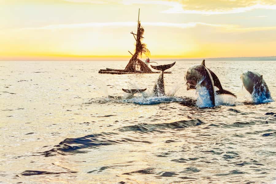 North Bali: Sunrise Tour with Dolphins, Waterfalls & Temples - Should you book it?