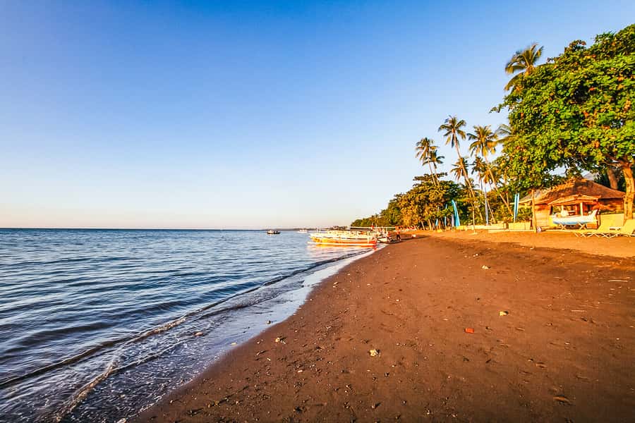 North Bali: Sunrise Tour with Dolphins, Waterfalls & Temples - Guides make a real difference here