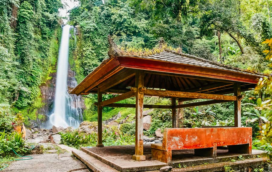 North Bali: Sunrise Tour with Dolphins, Waterfalls & Temples - Is $55 a good value?