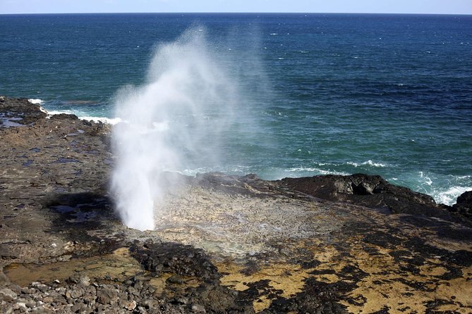 Oahu Circle Island Tour with Waimea Waterfall - Waimea Valley and the waterfall walk