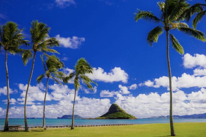 Oahu Circle Island Tour with Waimea Waterfall - Is $154 a fair price?