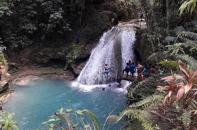 Ocho Rios Blue Hole and Dunn's River Falls Tour - Guide support and the local feel