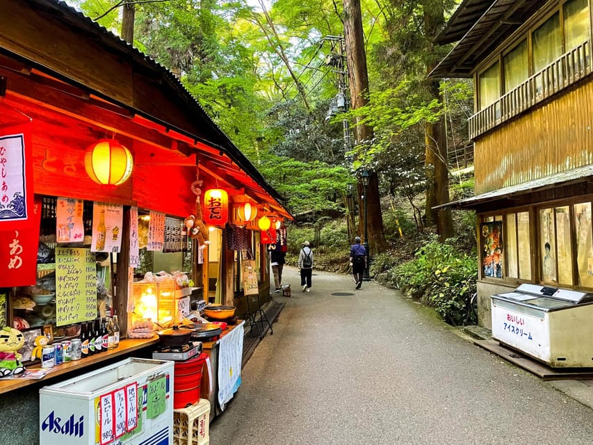 Osaka: Minoh, Katsuoji Temple, & Minoh Falls Full-day Tour - Walking through Minoh Park toward Ryuan-ji