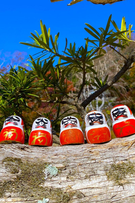 Osaka: Minoh, Katsuoji Temple, & Minoh Falls Full-day Tour - How much walking should you expect?