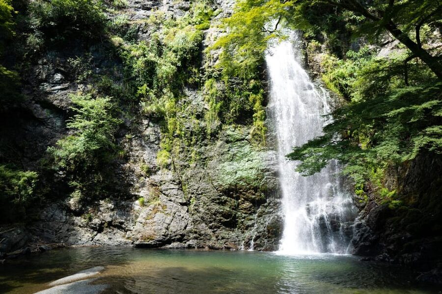 Osaka: Minoh, Katsuoji Temple, & Minoh Falls Full-day Tour - Is $135 good value?
