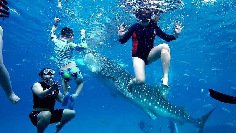 Oslob: Whaleshark Swimming, Inambakan Falls & Moalboal Tour - Inambakan Falls after the whale sharks