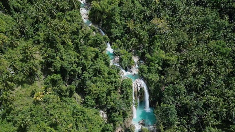 Oslob: Whaleshark Swimming, Inambakan Falls & Moalboal Tour - Who should book this experience