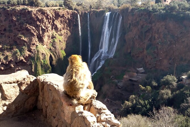 Ouzoud Waterfalls Full Day Trip From Marrakech - Guides can make or break the day