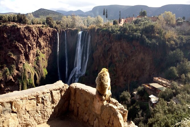 Ouzoud Waterfalls Full Day Trip From Marrakech - Is $15.76 good value?