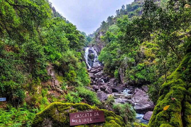 Peneda - Gerês National Park Lagoons and Waterfalls -Private Tour - Why Gerês works so well as a full-day outing