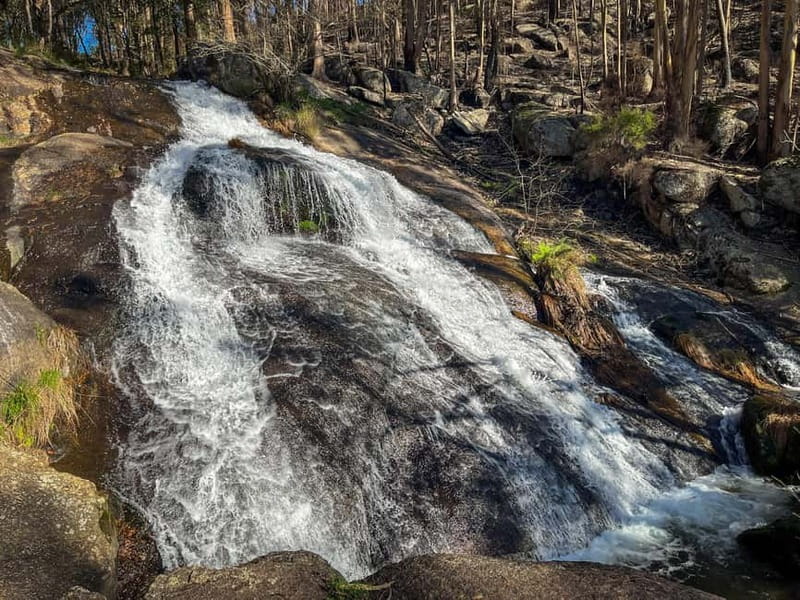 Porto: Forest Waterfalls & Roman Ruins Trail Tour - Quick take: what makes this walk worthwhile
