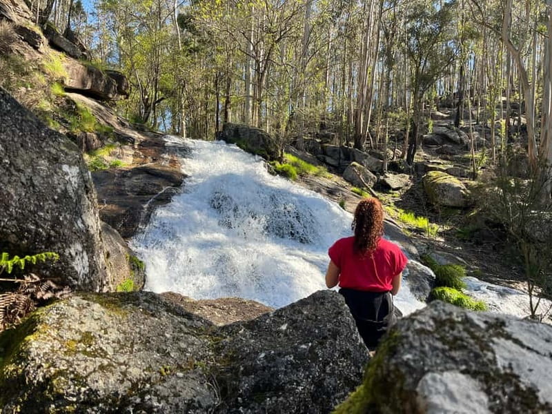 Porto: Forest Waterfalls & Roman Ruins Trail Tour - From Porto streets to Monte Córdova woods