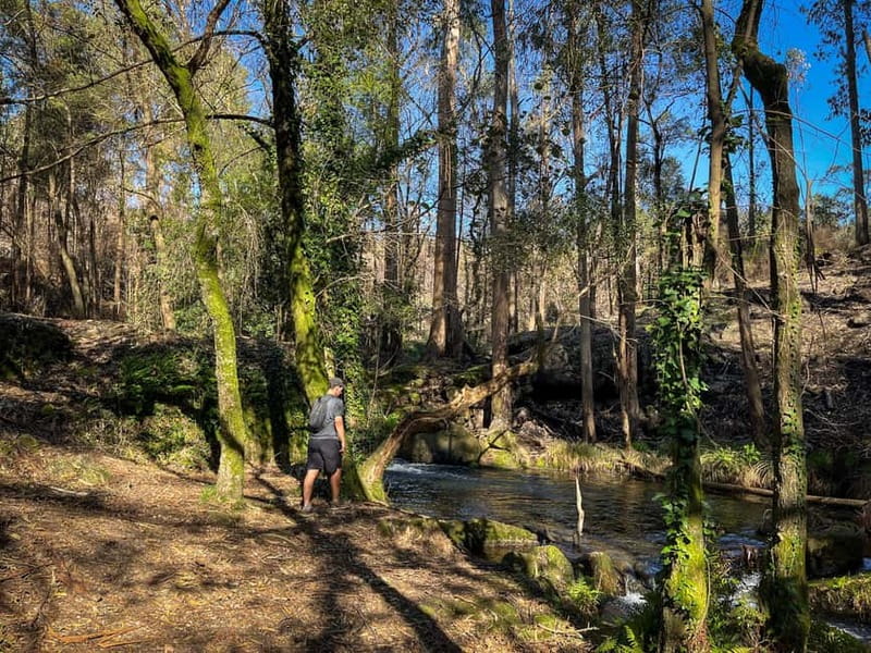 Porto: Forest Waterfalls & Roman Ruins Trail Tour - Castro Monte Padrão and the Roman remains