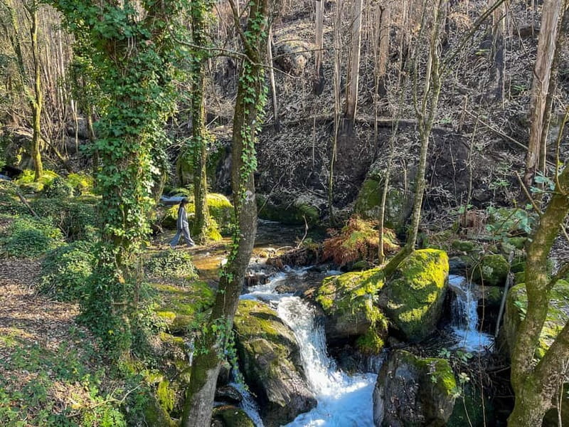 Porto: Forest Waterfalls & Roman Ruins Trail Tour - Nossa Senhora de Valinhas and the return journey