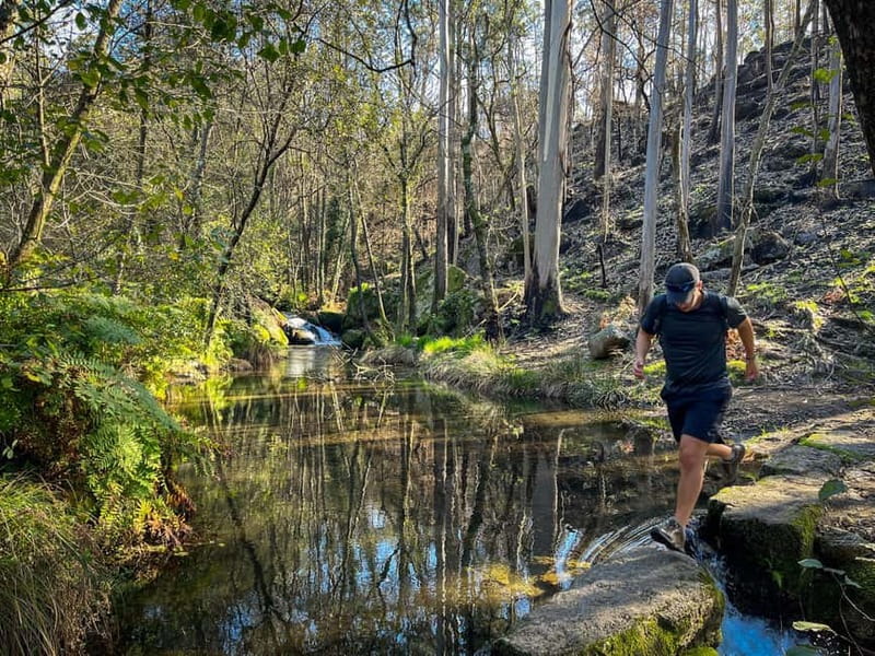 Porto: Forest Waterfalls & Roman Ruins Trail Tour - Who should book this experience?