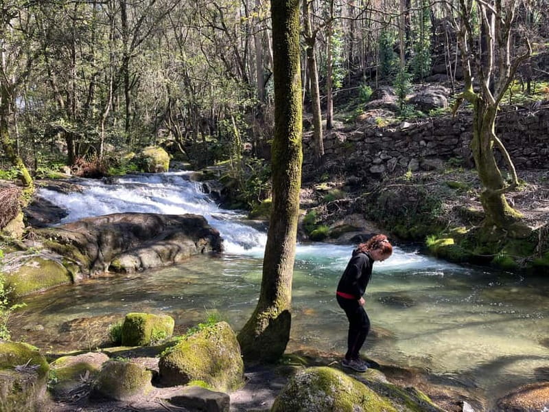 Porto: Forest Waterfalls & Roman Ruins Trail Tour - Following the stream to Quedas da Fervença