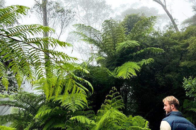 Private Blue Mountains Tour | Waterfalls, Koalas & Views - Leura makes lunch simple and flexible