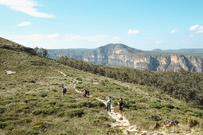 Private Blue Mountains Tour | Waterfalls, Koalas & Views - Featherdale gives you an early look at Australian wildlife