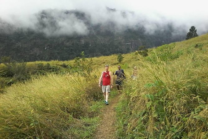 Private Breathtaking Koroyanitu Half Day Waterfall Hike - Key points to know before you book
