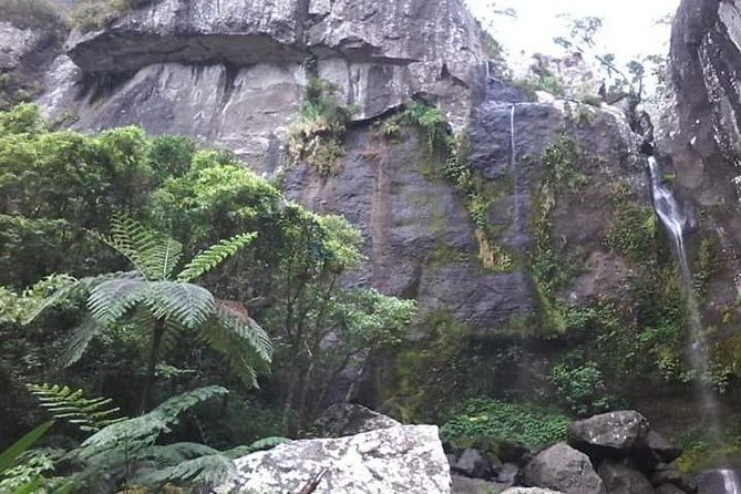 Private Breathtaking Koroyanitu Half Day Waterfall Hike - Leaving Nadi for Koroyanitu’s mountain country