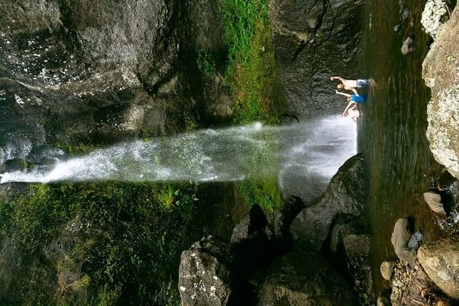 Private Breathtaking Koroyanitu Half Day Waterfall Hike - Lunch in a local village