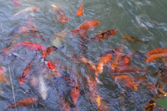 Private Combo Tour From Ocho Rios To Blue Hole & Konoko Falls - What to bring for a better day