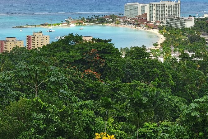 Private Dunn's River Falls, Ocho Rios Sightseeing and shopping - What the strongest service looks like