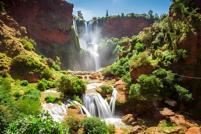 Private Full Day Tour Ouzoud Waterfalls from Marrakech - Barbary macaques in the trees