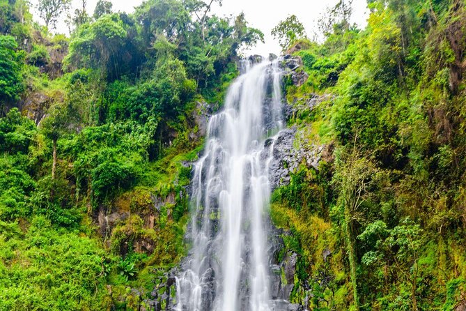 Private Full-Day Trip to Materuni Waterfalls - Key points at a glance