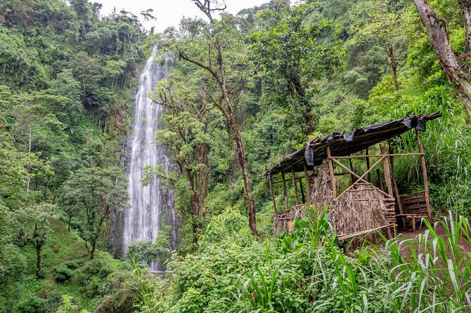 Private Full-Day Trip to Materuni Waterfalls - Materuni Falls and the cold basin