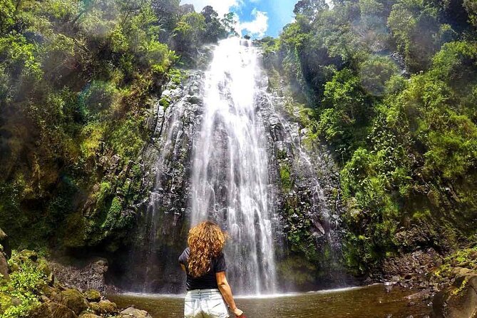 Private Full-Day Trip to Materuni Waterfalls - Walking through Chagga farms and rainforest