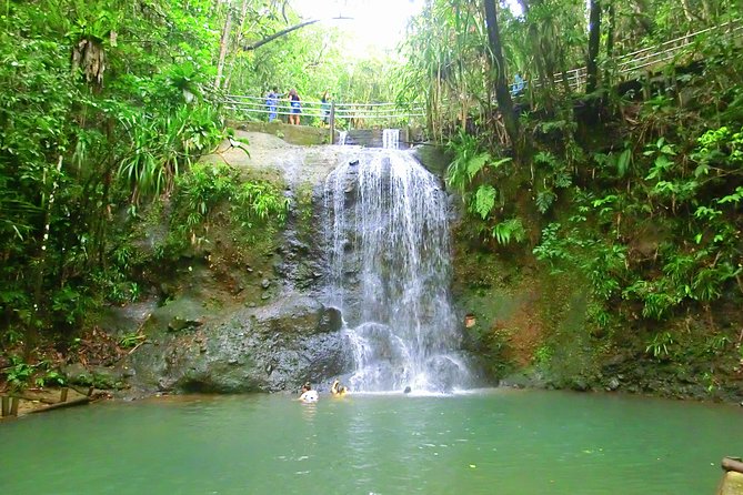 Private Suva Nature and Waterfall Tour - Who will enjoy this Suva outing most?
