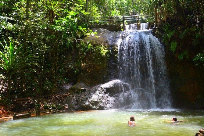 Private Suva Nature and Waterfall Tour - What your guide adds to the morning