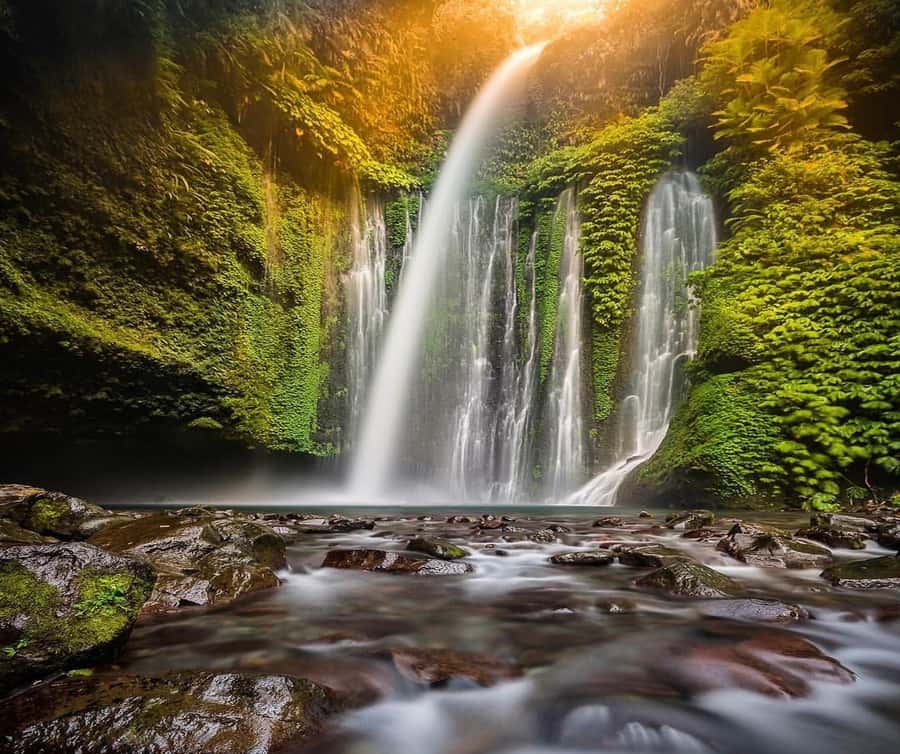 "Private Tour: Sendang Gile, Tiu Kelep Waterfall & Sembalun" - A private ride through Lombok’s changing scenery