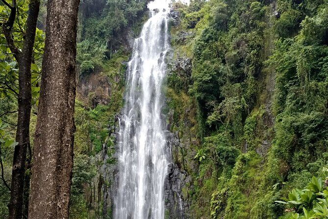 Private Tour to Materuni waterfalls, coffee tour & Kikuletwa hot- springs - Should you book the Materuni and Kikuletwa day?