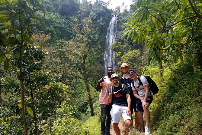 Private Tour to Materuni waterfalls, coffee tour & Kikuletwa hot- springs - Walking through Materuni village to the falls