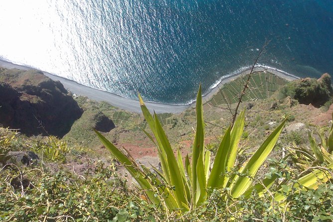 Private Waterfalls and Fanal Forest Tour - Câmara de Lobos and the first taste of Madeira