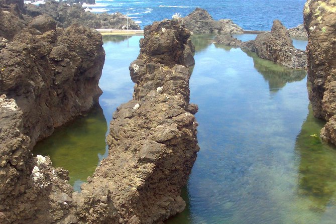 Private Waterfalls and Fanal Forest Tour - Ribeira Brava, coffee, and a calmer coastal pause